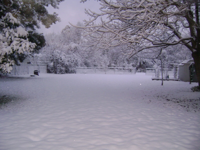 Texarkana, TX Feb 2011 photo, picture, image (Texas) at