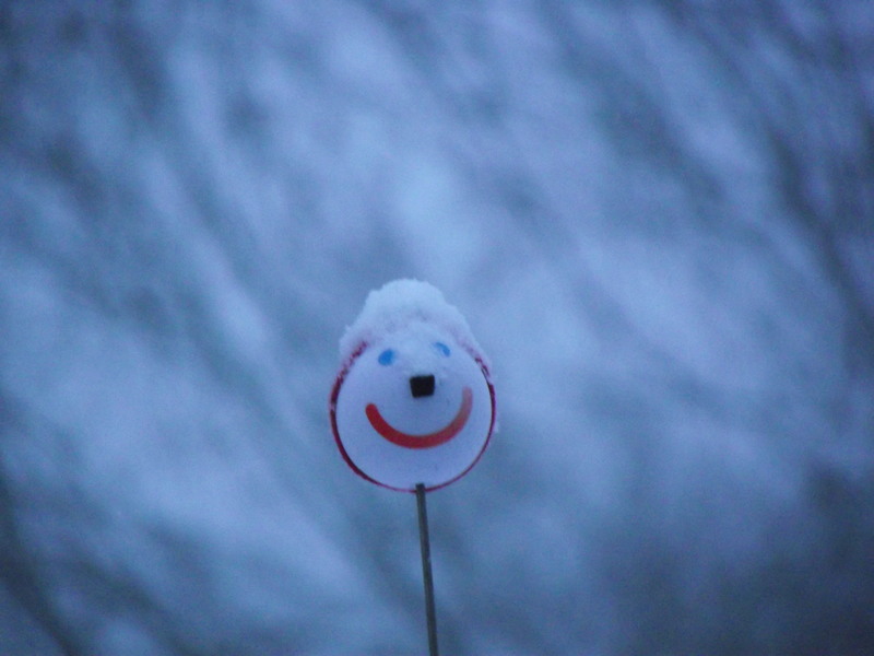 Greenville, SC Greenville SC Does Get Snow... Every Once In A While