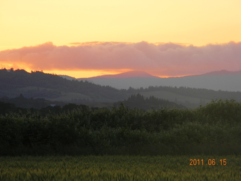 Junction City, OR On the edge of town photo, picture, image (Oregon