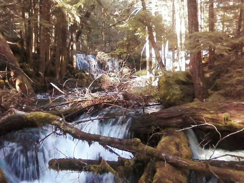 Shady Cove, OR Falls photo, picture, image (Oregon) at