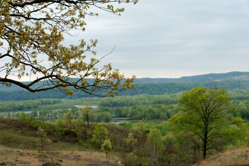 Cassville, WI Top of Nelson Dewey State Park Cassville 2012 photo