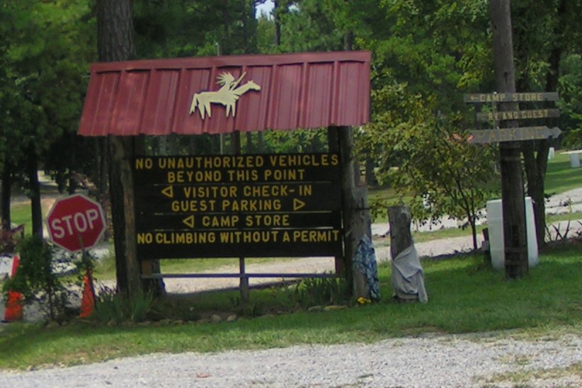 Oneonta, AL Horse Pins 40 photo, picture, image (Alabama) at city