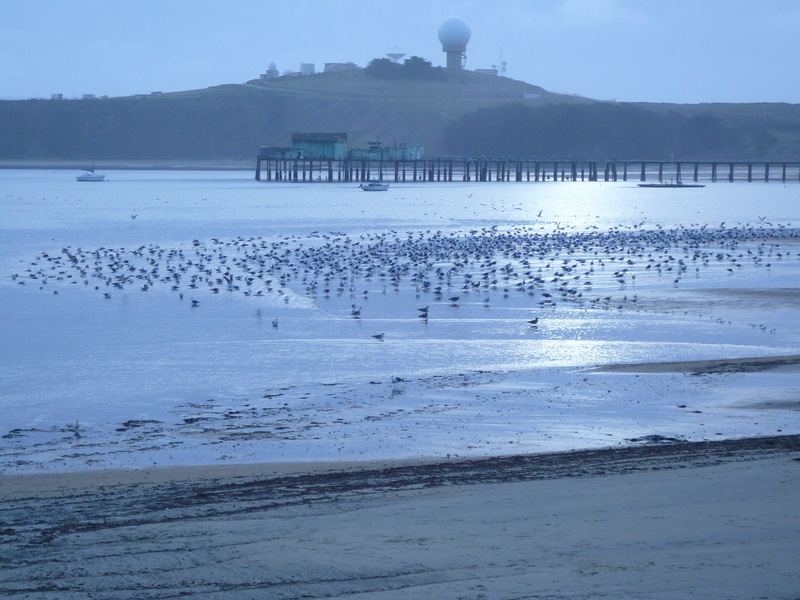 El Granada, CA Pier near El Granada photo, picture, image (California