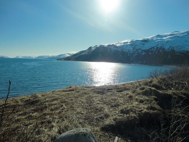 Old Harbor, AK Over view of the water and towards downtown photo