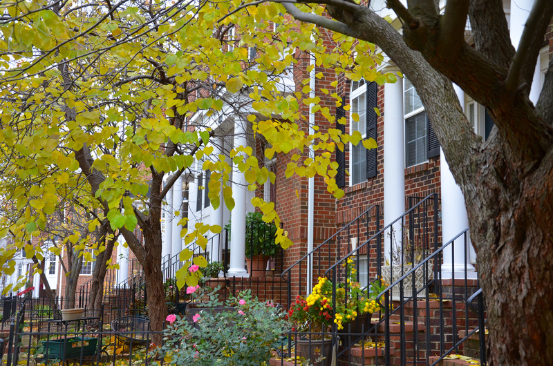 Rockville, MD Rockville, MD Townhomes in King Farm photo, picture