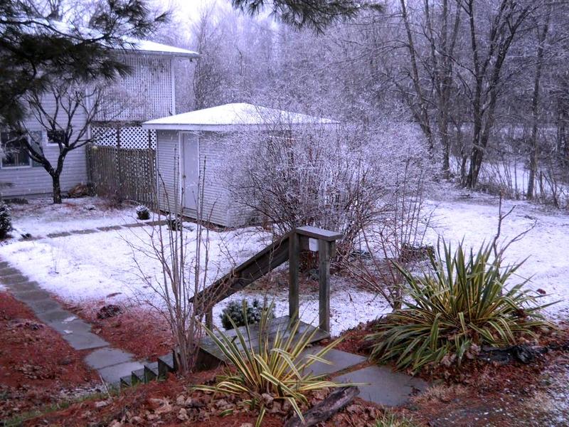 Reisterstown, MD My Winter Garden in Reisterstown 2012 photo, picture, image (Maryland) at