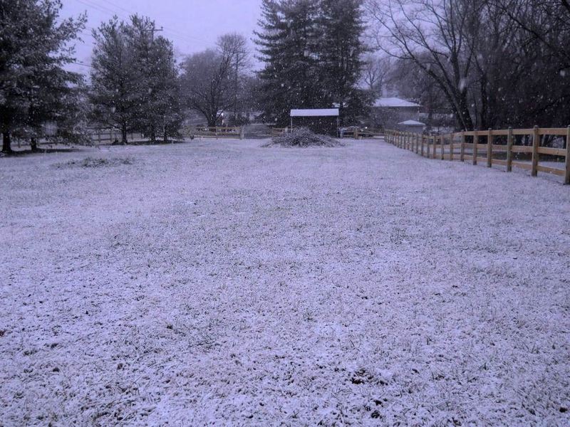 Reisterstown, MD View of my shed off Hanover Pike in Reisterstown in Winter 2011 photo