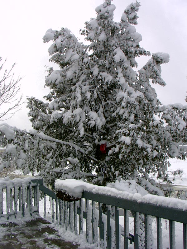 Dennehotso, AZ photo, picture, image (Arizona) at