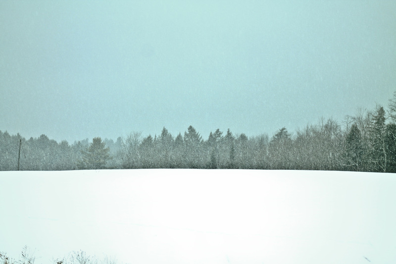 Ashfield, MA photo, picture, image (Massachusetts) at