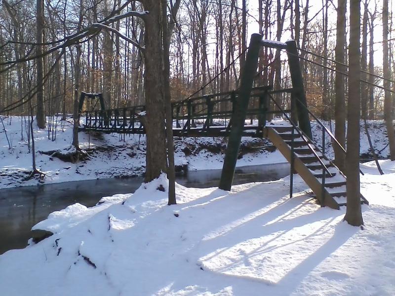 Poland, OH Poland Forest photo, picture, image (Ohio) at