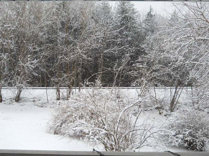 Reisterstown, MD My pic photo, picture, image (Maryland) at