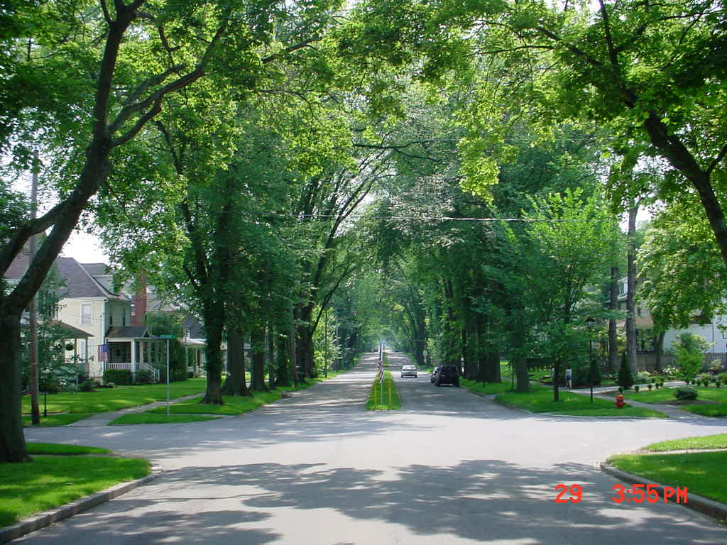 Westmont, PA Old Westmont (Luzerene Street) photo, picture, image