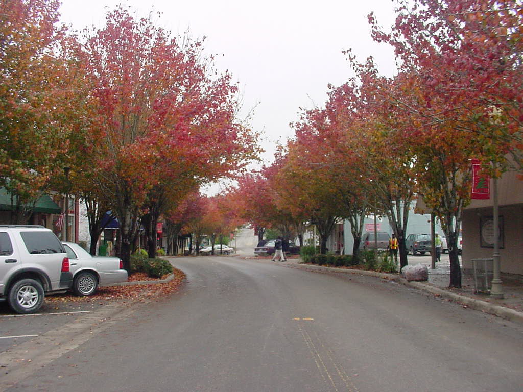 Alachua, FL Main Street in fall photo, picture, image (Florida) at