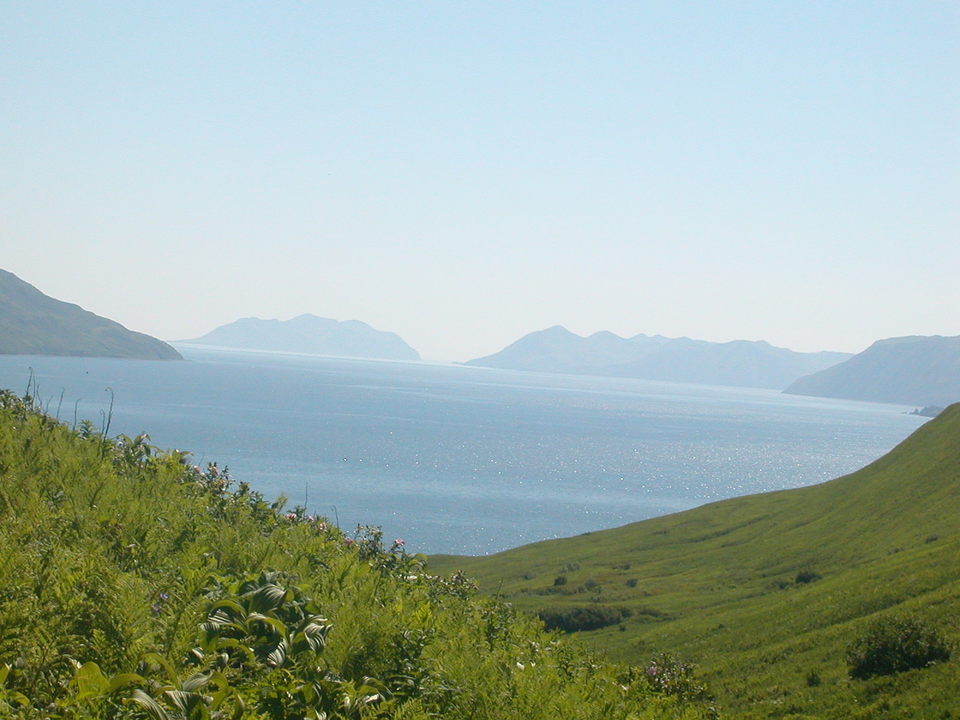 Old Harbor, AK more hiking summer 2003 photo, picture, image (Alaska