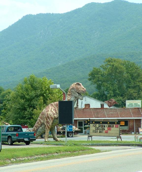 Glasgow, VA Another of the local pets photo, picture, image (Virginia