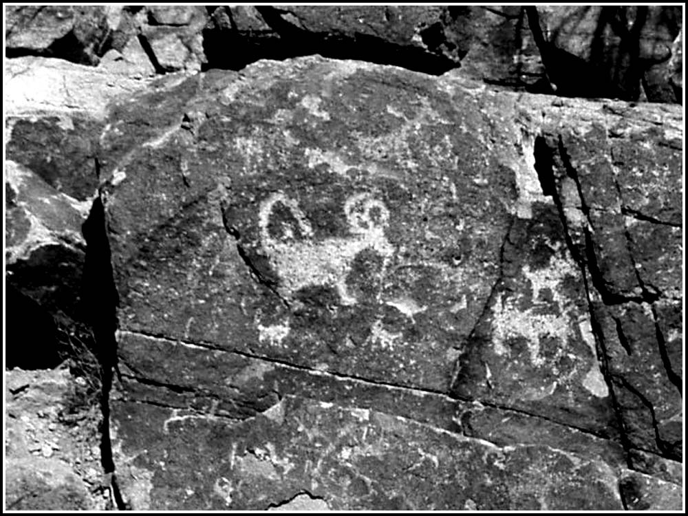 Tucson, AZ Ancient petroglyphs at Picture Rocks Sanctuary... photo