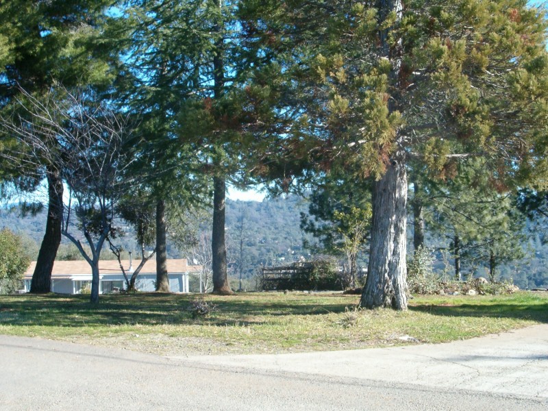 Shingle Springs, CA Up in the foothills photo, picture, image (California) at
