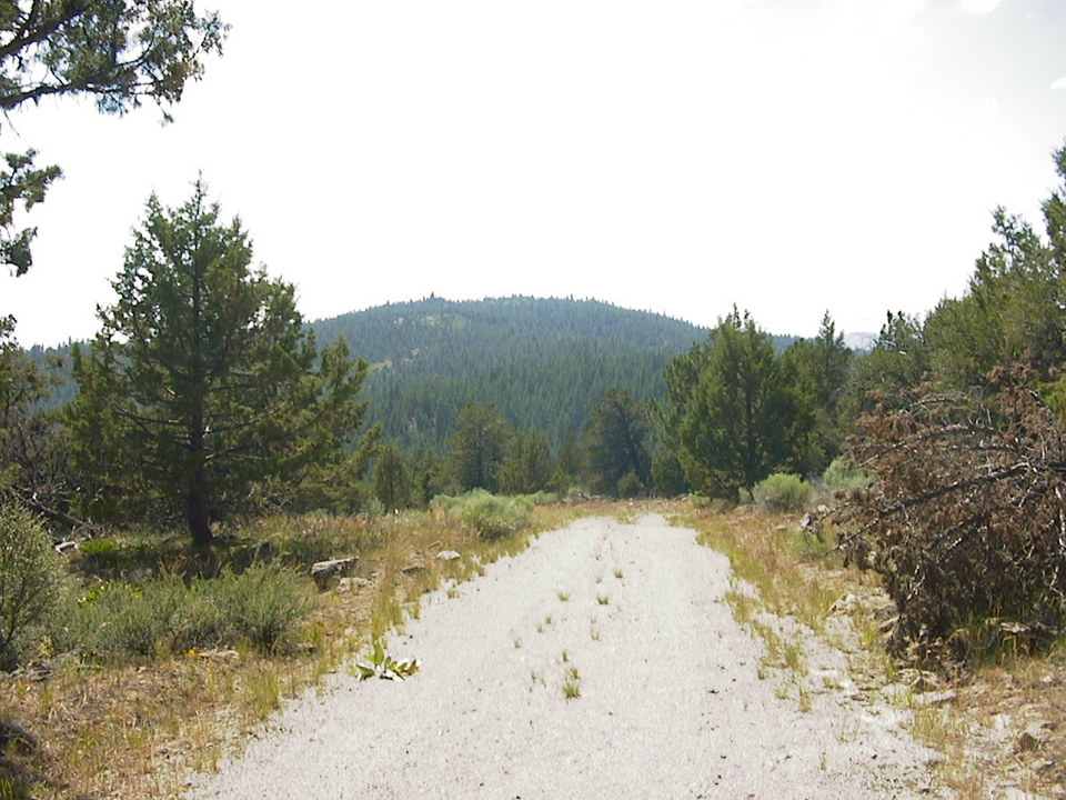Klamath Falls, OR A picture of the peaceful Klamath Falls Forest