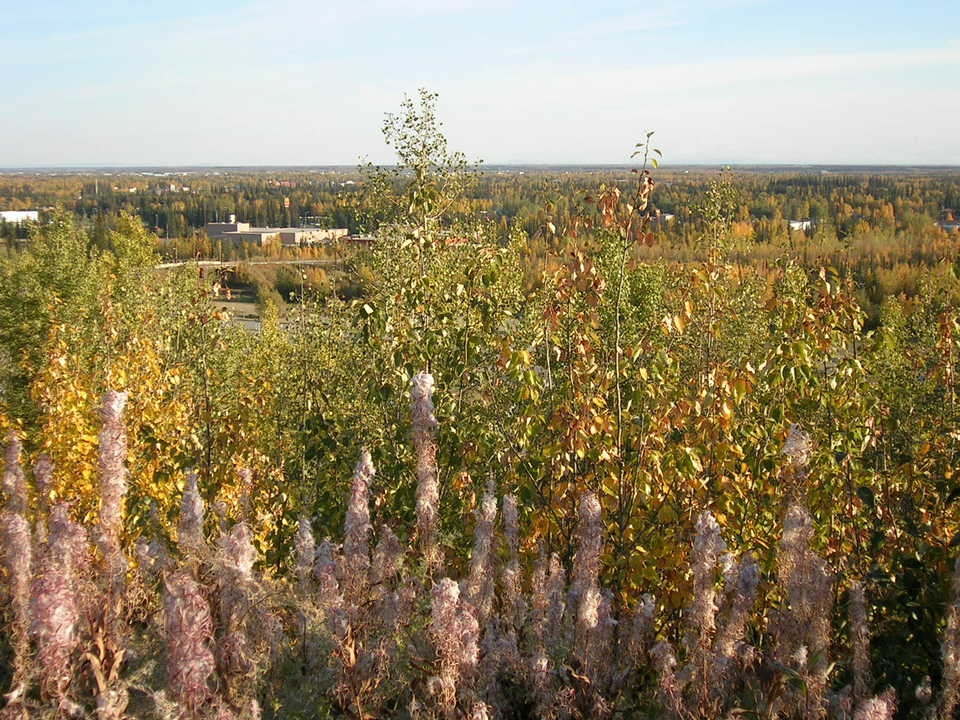 College, AK Lookout over Tanana Valley photo, picture, image (Alaska
