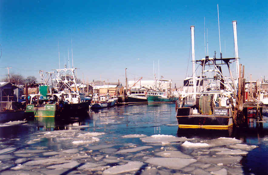 Belford, NJ Dang Cold photo, picture, image (New Jersey) at