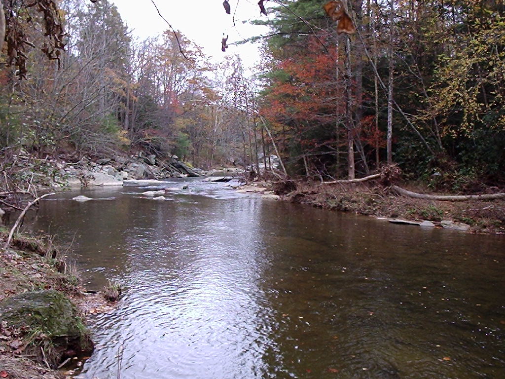 Boone, NC Watauga River N/O Boone photo, picture, image (North