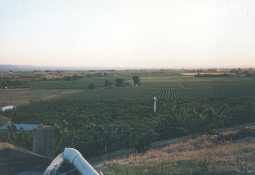 Grandview, WA Standing on the bend of the old Prosser road looking