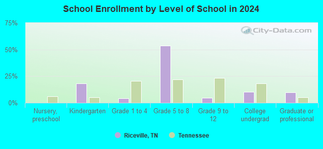 Riceville, Tennessee (TN 37370) profile population, maps, real estate
