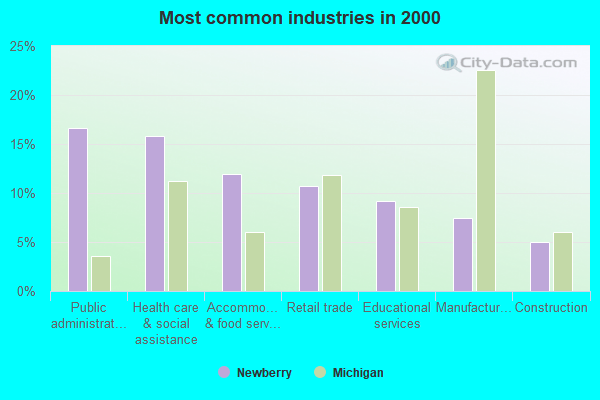Work and Jobs in Newberry, Michigan (MI) Detailed Stats Occupations