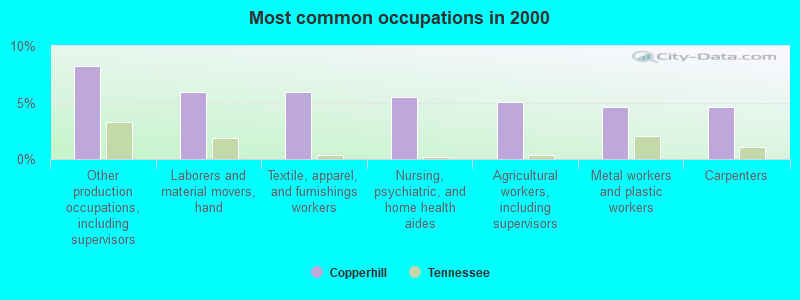 Copperhill, Tennessee (TN 37317) profile population, maps, real estate