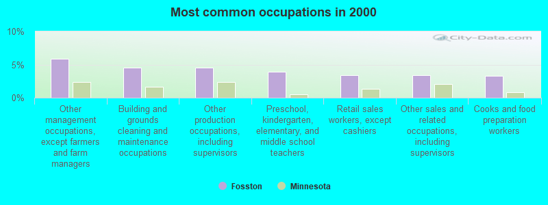 Fosston, Minnesota (MN 56542) profile population, maps, real estate