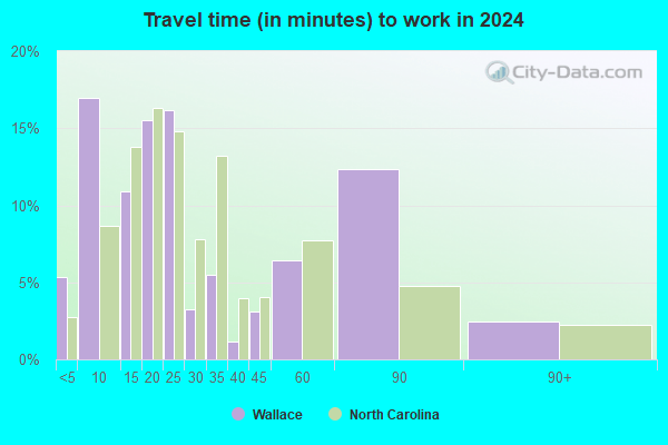 Wallace, North Carolina (NC 28466) profile population, maps, real