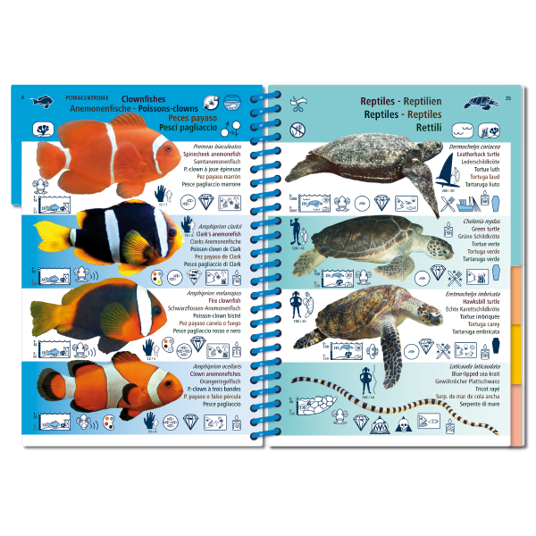 marine pictolife pacifico tropical ovest Libreria del Mare