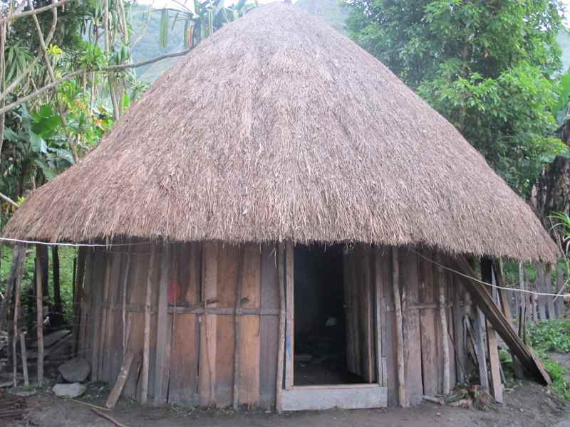 Ide Terbaru 24+ Nama Rumah Adat Papua