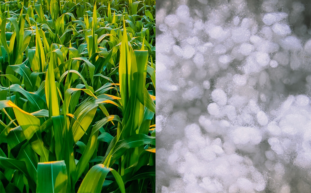 Dupont Sorona Picture Blog