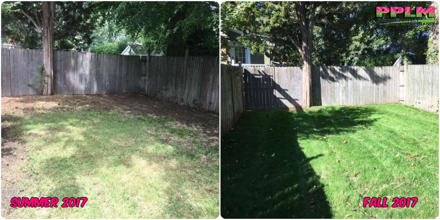 Gallery Picture Perfect Lawn Maintenance