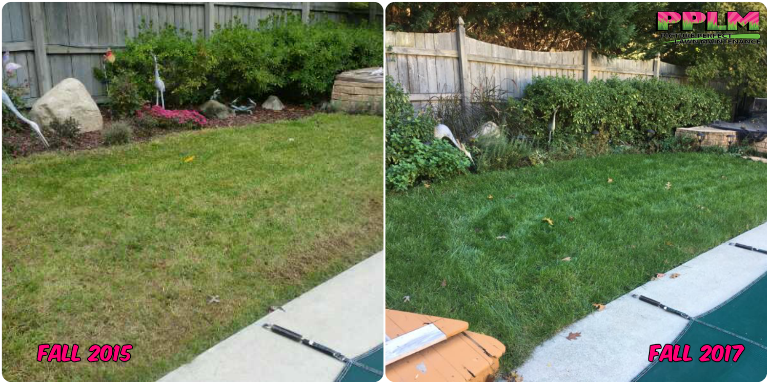 Gallery Picture Perfect Lawn Maintenance