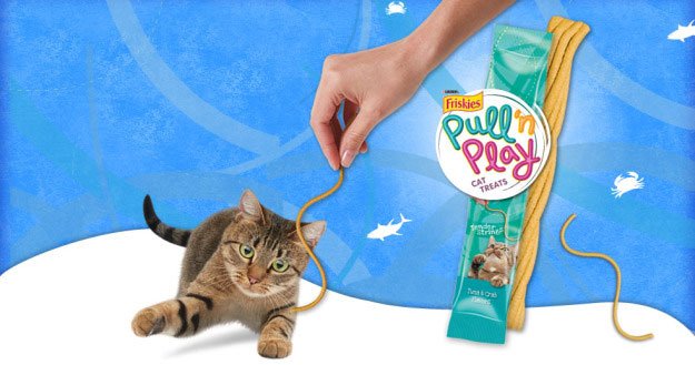 Are Edible String Toys For Cats a Good Idea? What do you think? PoC