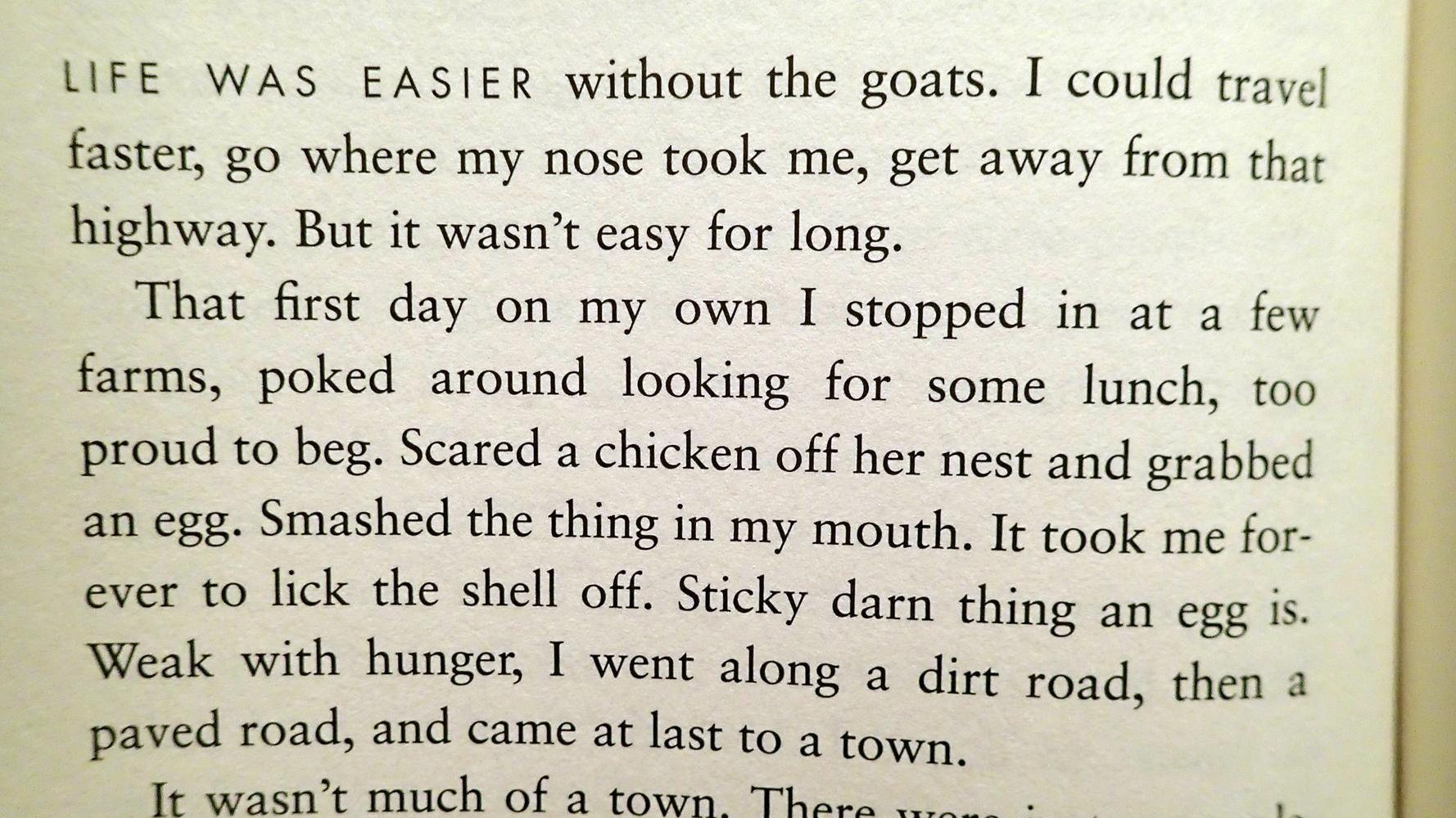 SHEEP by Valerie Hobbs Near Fine Hardcover (2006) First Edition, 6th