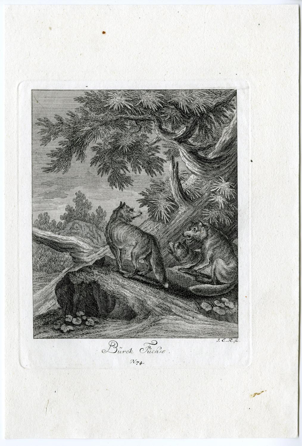 ridinger johann elias Kunst ZVAB