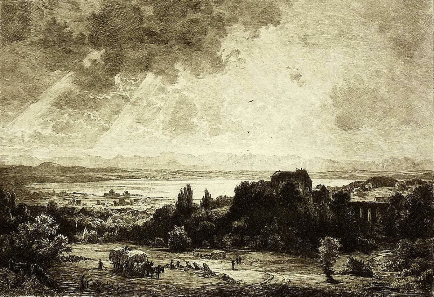 Eduard Schleich Bucher Zvab