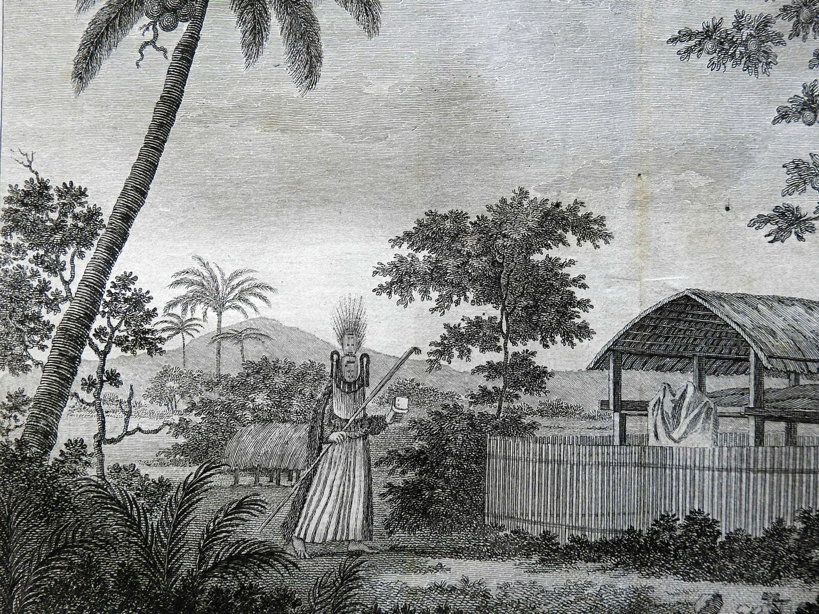 Tahiti Funeral Practices Priest Ceremonial Robes Man in Tree 1774