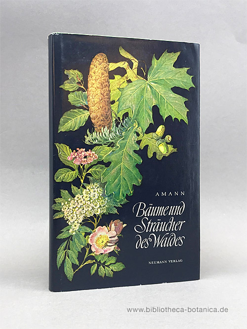 bäume und sträucher von amann ZVAB