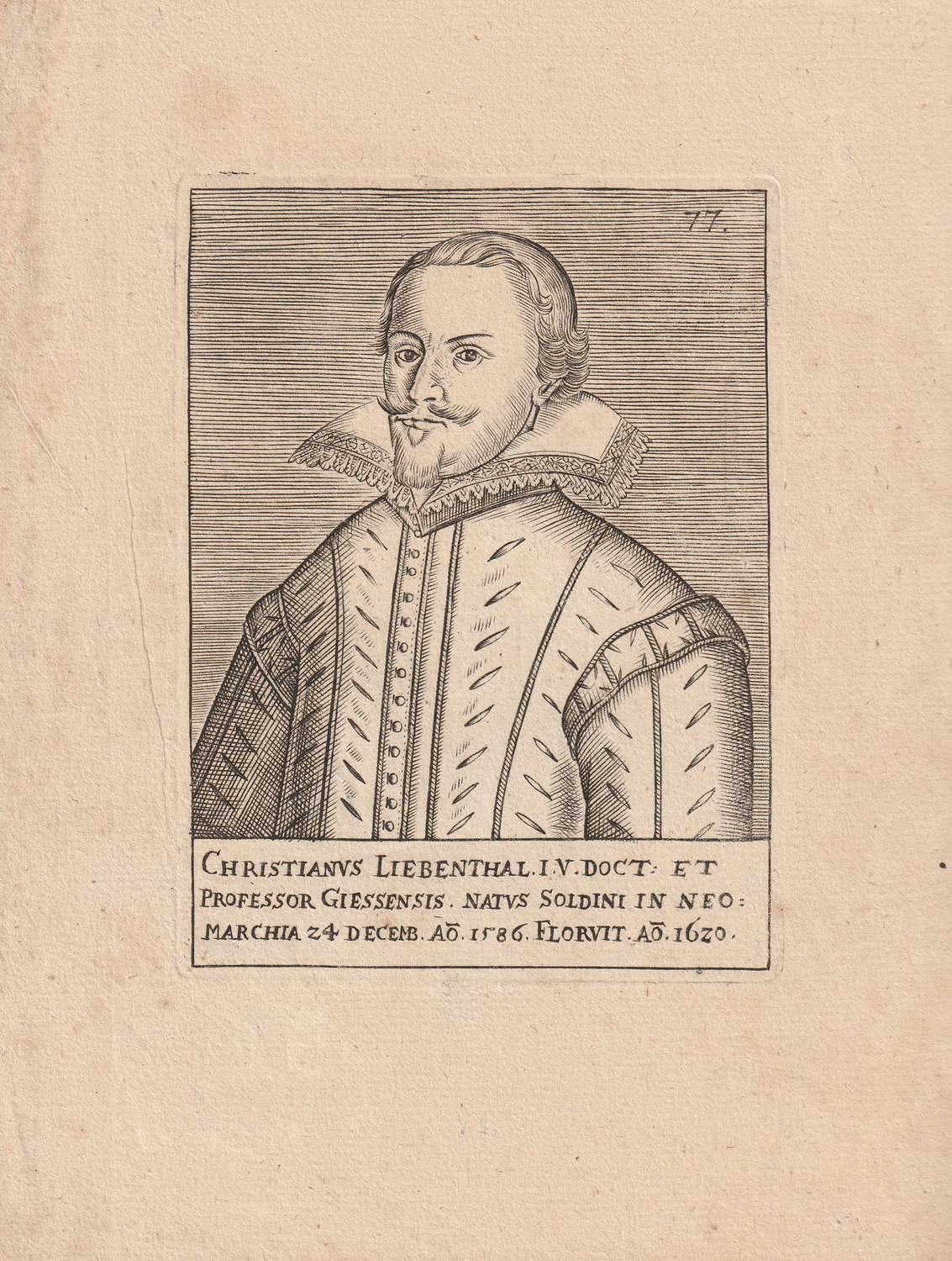 Christianus Liebenthal . KupferstichPorträt. von Liebenthal, Christian
