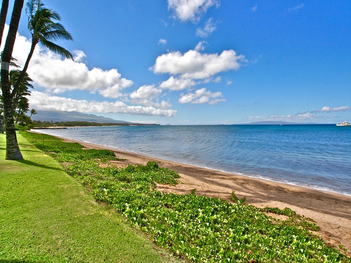 View D31 Bedroom Beachfront A Kihei Vacation Rental