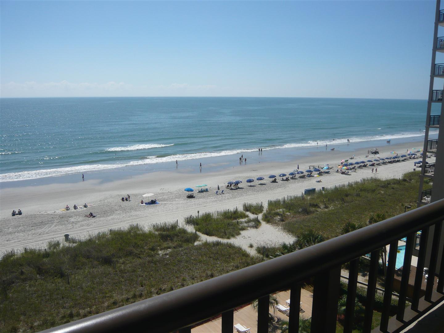 Zoo Internships Vacation Rentals North Myrtle Beach