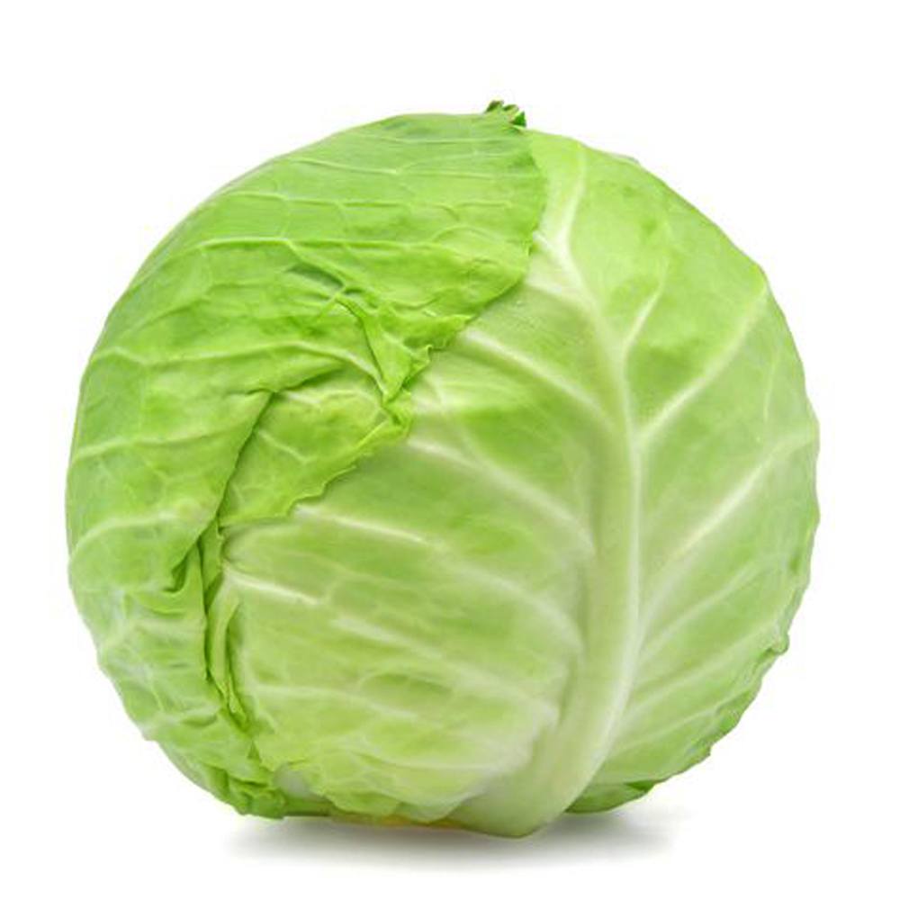 Buy Cabbage بند گوبھی Vegetables online GrocerApp