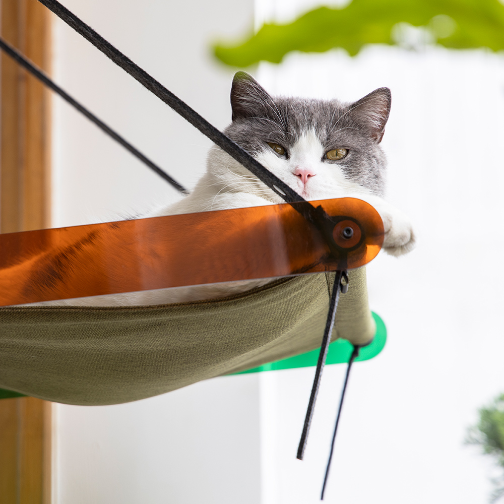 Air Folding Cat Bed Cat Furniture Pidan Au
