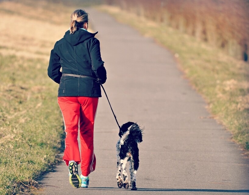 Correr con perro, 9 consejos