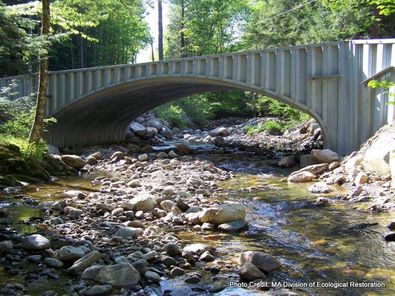 Improving Stream Crossings PIERivers Partnership