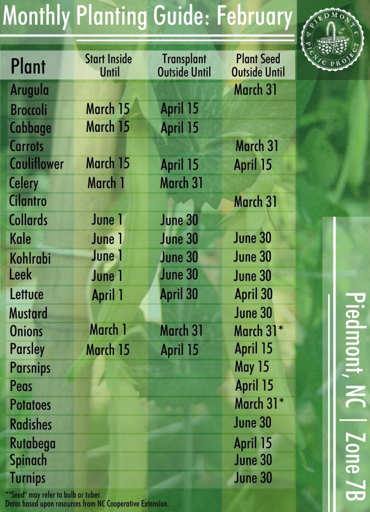 Monthly Planting Guide February in the Piedmont Piedmont Picnic Project